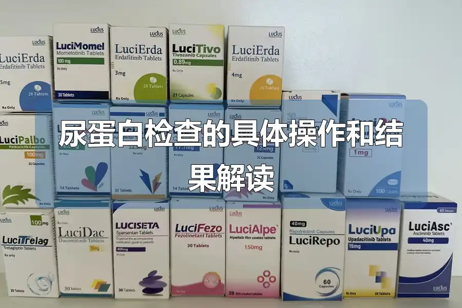 尿蛋白检查的具体操作和结果解读